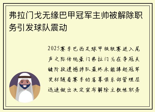 弗拉门戈无缘巴甲冠军主帅被解除职务引发球队震动 弗拉门戈无缘巴甲冠军主帅被解除职务引发球队震动